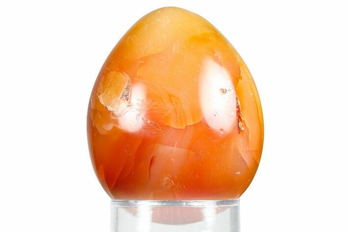 Vibrant Polished Carnelian Agate Egg - Madagascar #355514